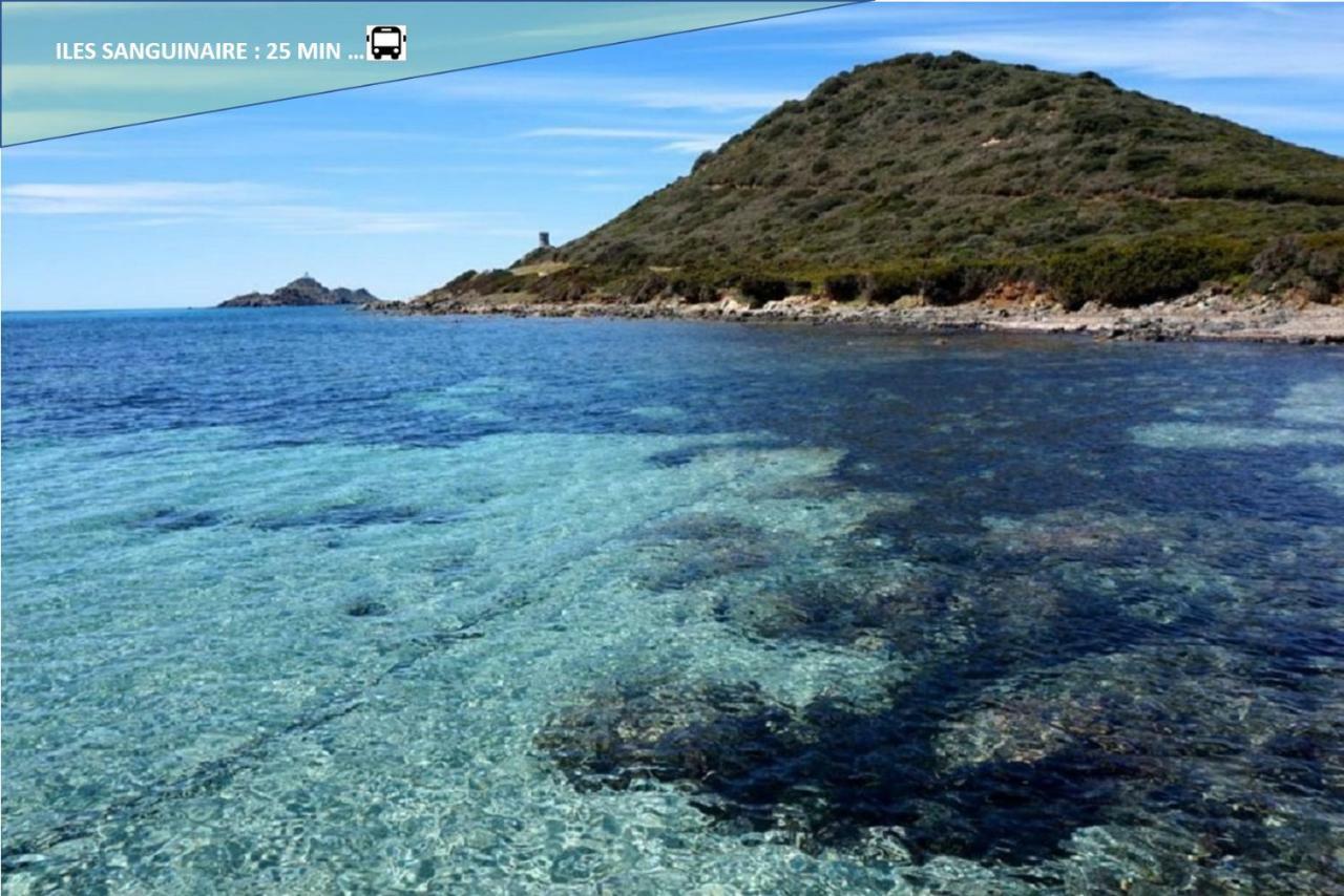 Centre Ajaccio ☆ Wifi ☆ Clim ☆ Plages Ajaccio (Corsica) Exterior foto